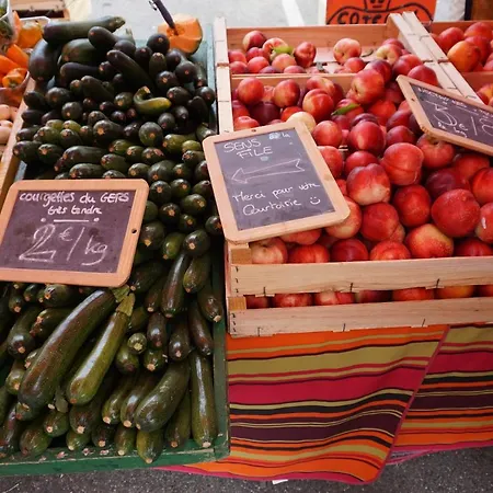 Gather In The Pyrenees - Pool Days & Fire Pit Nights Holiday home