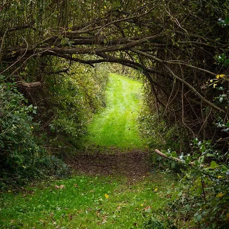 Mountain retreat in the Pyrénées, glorious views, fire pit&pool - Sleeps 14 Casa vacanze Ossun-ez-Angles