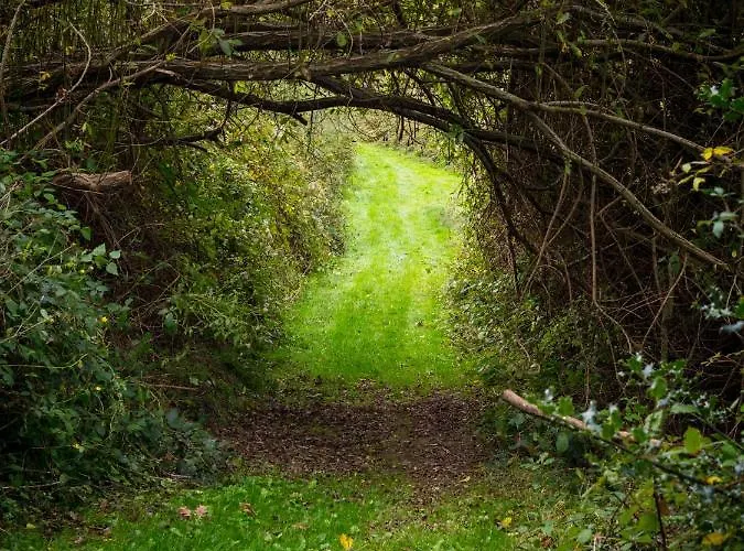 Mountain Retreat In The Pyrénées, Glorious Views, Fire Pit&pool - Sleeps 14 Casa vacanze Ossun-ez-Angles